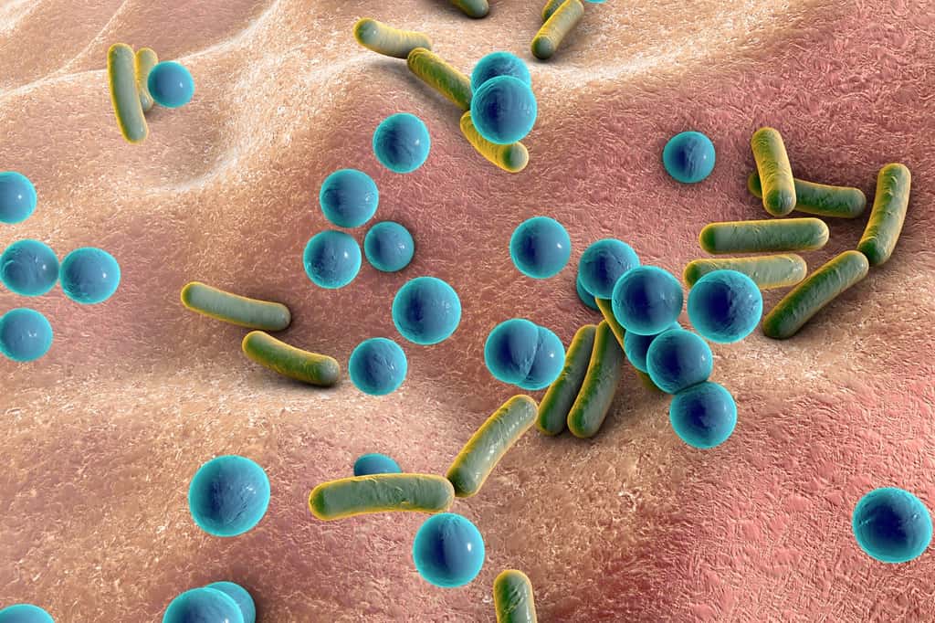 Le microbiote cutané joue un rôle dans la défense contre les infections. © Kateryna_Kon, fotolia