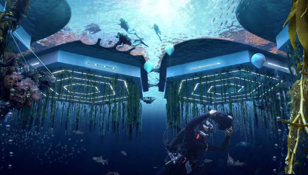 Des algues et fruits de mer seront élevés dans des fermes aquatiques verticales. © Oceanix/BIG-Bjarke Ingels Group