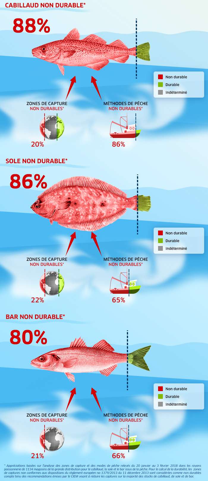 Grandes surfaces : 88 % du cabillaud, 86 % de la sole et 80 % du bar sont issus de la pêche non durable. © UFC-Que Choisir