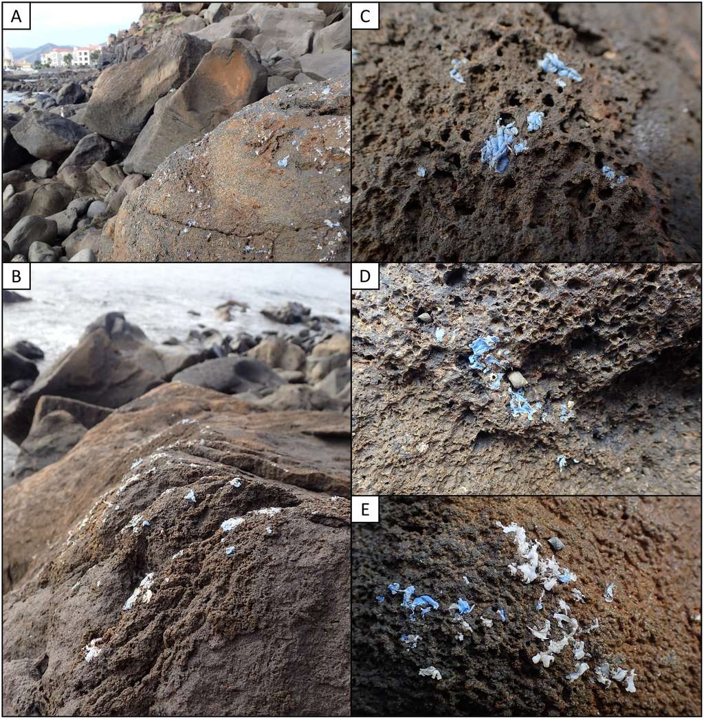 Le plasticroûte recouvre désormais 10 % de la surface des roches du littoral à Madère. © Ignacio Gestoso et al., <i>Science of The Total Environment, 2019</i>