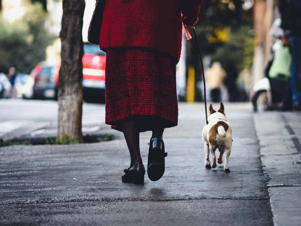 Promener son chien, une activité à risque ? © Sober Rabbit, Flickr