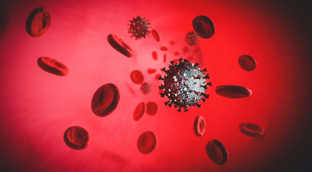 Si nous n'avons pas d'anticorps détectables, cela ne signifie pas forcément que nous ne sommes pas immunisés. © Guteksk7, Adobe Stock