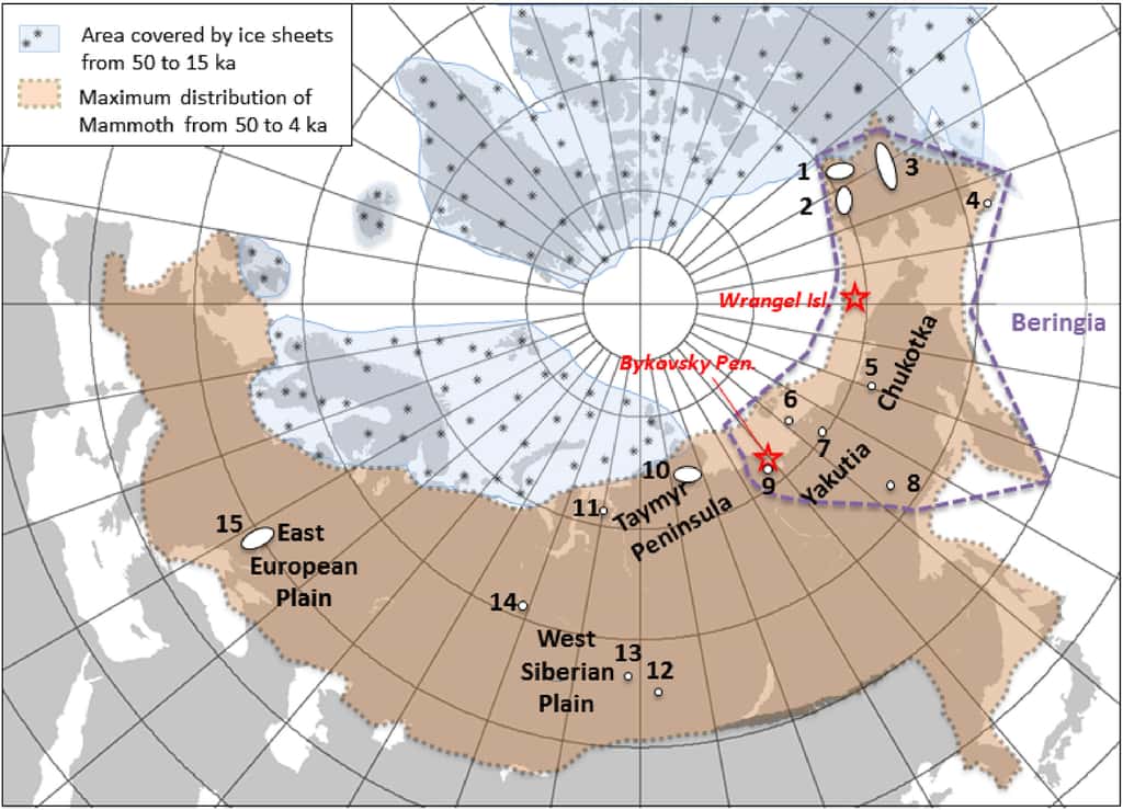 Le territoire du mammouth laineux (en brun) s’étendait de l’Espagne à l’Alaska durant le dernier Âge glaciaire. L’animal s’est définitivement éteint sur l’île Wrangel (étoile rouge au Nord) il y a 4.000 ans. © Laura Arppe et al, <em>Quaternary Science Reviews</em>, 2019.