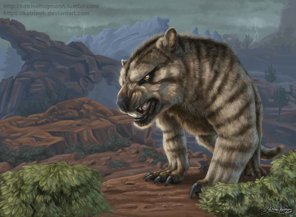 <i>Thylacoleo carnifex</i> vivait il y a plus de 40.000 ans. © Katrine Hagmann, DeviantArt
