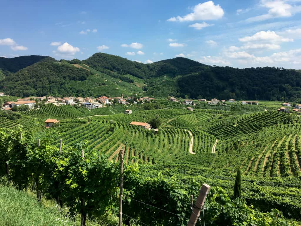 Les collines dans la région de production traditionnelle du prosecco, vers Valdobbiadene, se dégradent au rythme de 59,8 tonnes par an et par hectare. © Darren & Brad, Flickr