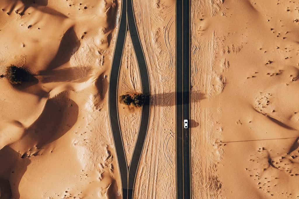 L’obstacle de l’arbre en plein désert, Émirats arabes unis © whosane, Dronestagram