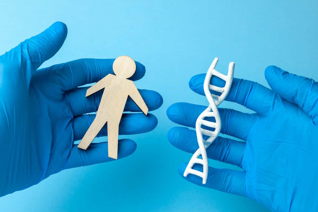 Mieux comprendre notre ADN. © Adragan, Adobe Stock