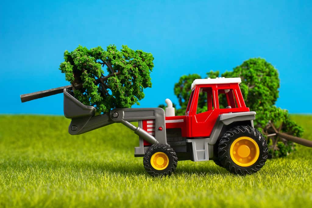 Les OGM offrent un meilleur rendement à l’hectare, ce qui libère des sols pour d’autres utilisations et le stockage de carbone. © breakermaximus, Adobe Stock
