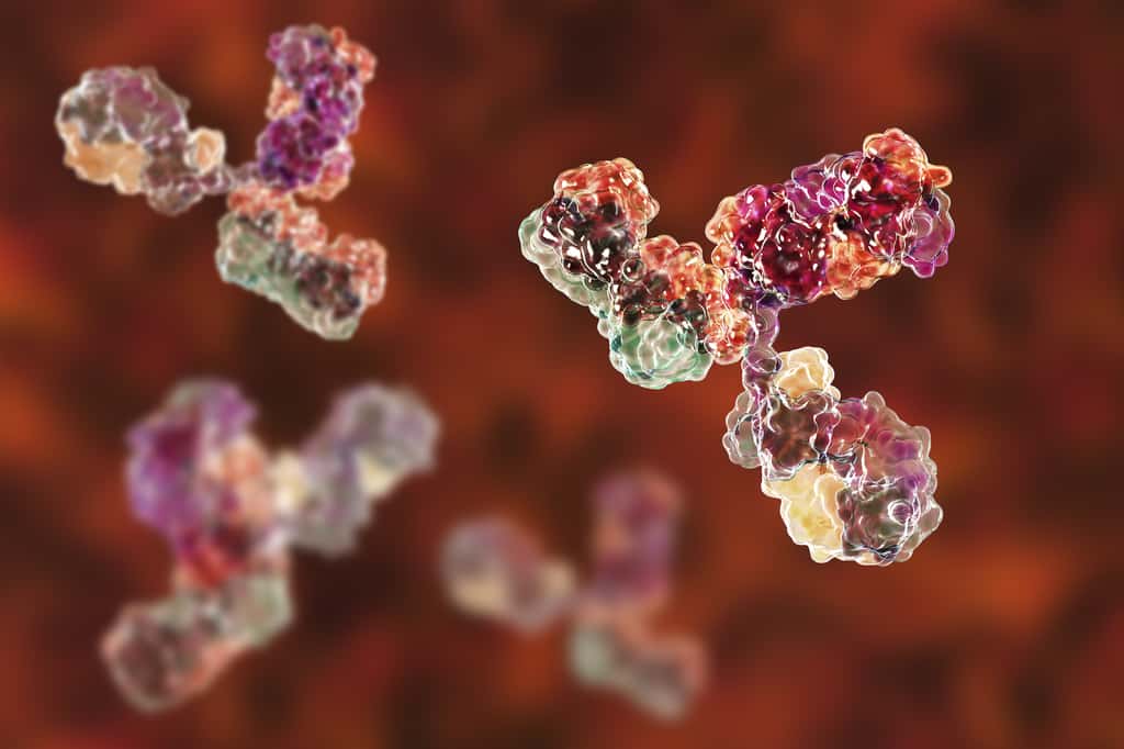 Pour produire des anticorps en grande quantité, les chercheurs « humanisent » le plasma d’animaux. © Kateryna_Kon, Adobe Stock