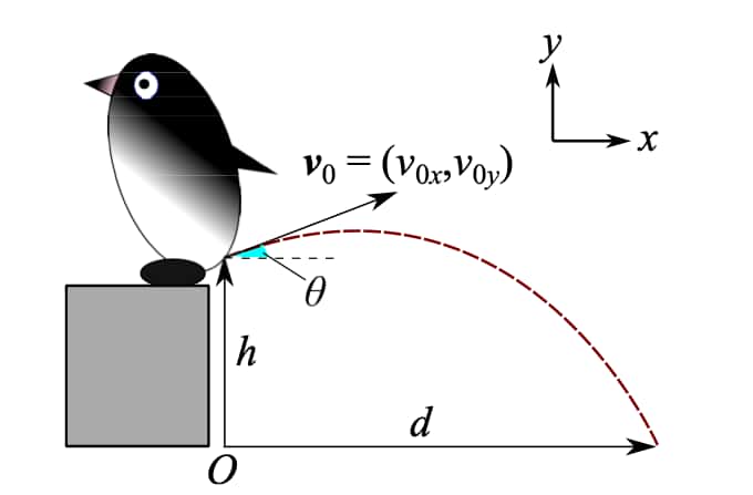 Modélisation de la trajectoire des excréments en fonction de l’angle de la vitesse initiale <em>v</em> et de la hauteur <em>h</em>. © Hiroyuki Tajima, Fumiya Fujisawa