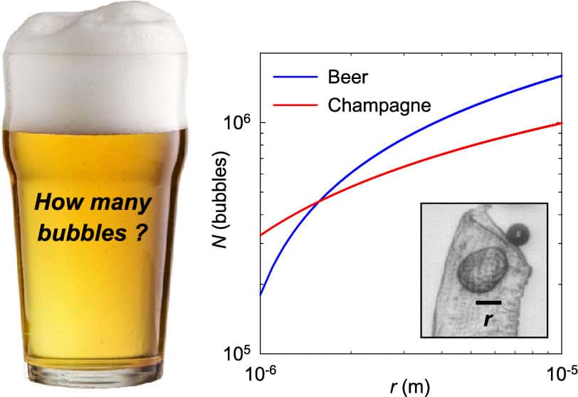 Plus la taille des anfractuosités du verre sont grandes, plus le nombre de bulles augmente dans la bière par rapport au champagne. © ACS Omega 2021, 6, 14, 9672-9679