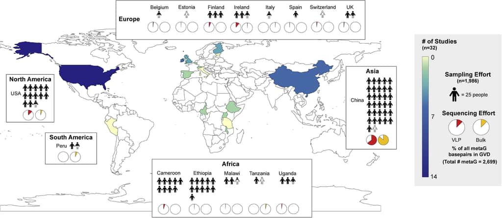 La base de données contient 2.697 métagénomes de virus issus de 1.986 individus dans 16 pays. © Ann Gregory et al, <em>Cell Host & Microbe</em>, 2020