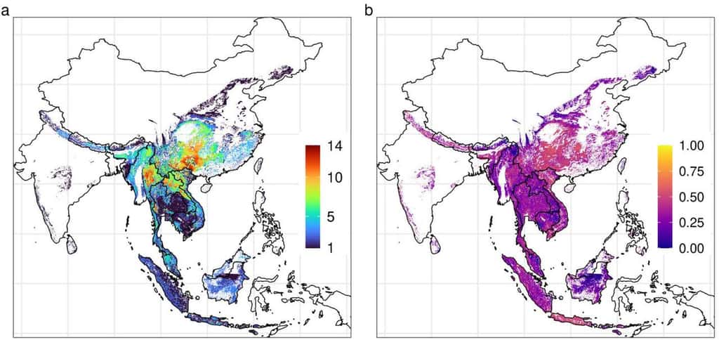 Carte : a) Nombre d’espèces de chauves-souris avec des virus de type SARS-CoV en Asie du Sud-Est. b) Risque de transmission (nombre d’espèces rapportées à la population humaine). © Peter Daszak et <em>al.</em>, <em>MedXriv</em>, 2021