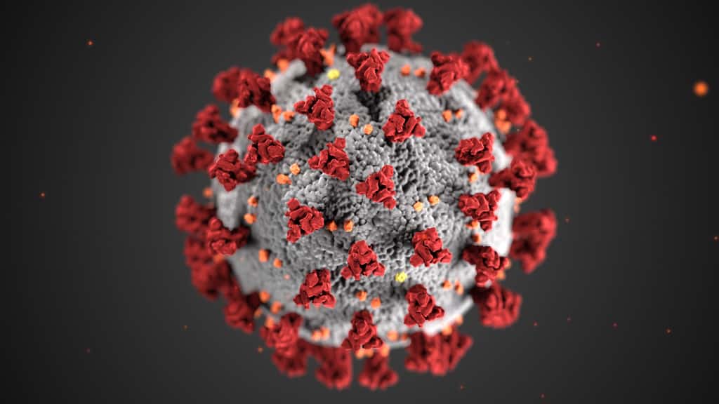 Le coronavirus : sans doute l’image la plus reprise de l’année 2020. © CDC
