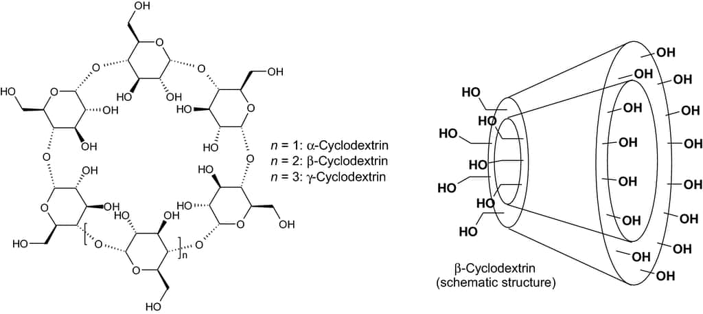 Les cyclodextrines sont des molécules cycliques comportant 6 à 12 unités de D-glucose. © N.G Hădărugă, et al, Environ Chem Lett, 2019