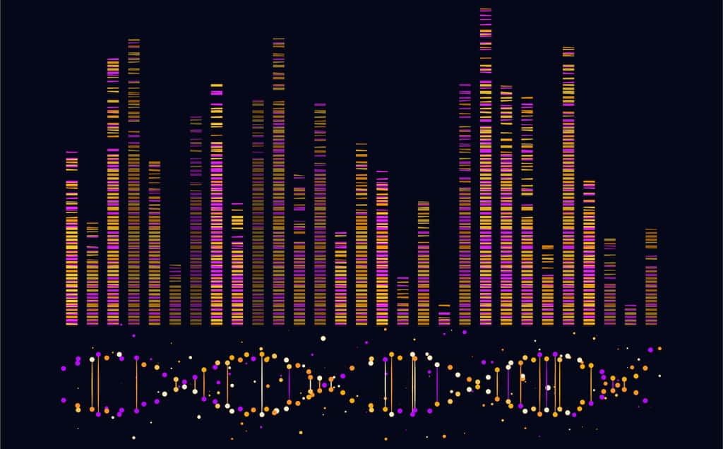 Le génome humain contient entre 20.000 et 25.000 gènes. © majcot, Adobe Stock