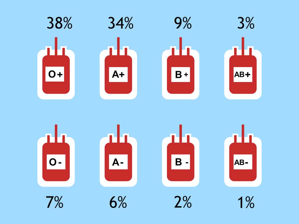 Au niveau mondial, la répartition des groupes sanguins O, A, B et AB est de respectivement 45 %, 40 %, 11 % et 4 %. © Humdan, Adobe Stock, adaptation C.D pour Futura