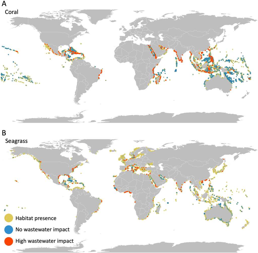 L’impact des effluents humains sur les coraux et les herbiers côtiers. © Cascade Tuholske, <em>Plos One,</em> 2021