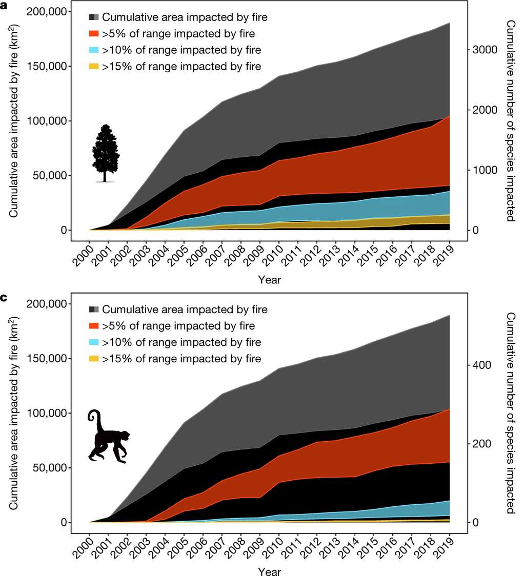 Le nombre d’espèces touchées par les incendies de forêt grandit d’année en année. © Xiao Feng et <em>al., Nature</em>, 2021