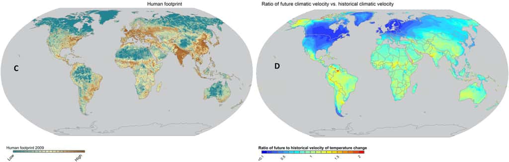 Les régions où se concentrent les espèces rares sont aussi les plus impactées par les activités humaines et celles où le réchauffement climatique est le plus rapide. © Brian Enquist et al, <em>Science Advances</em>, 2019