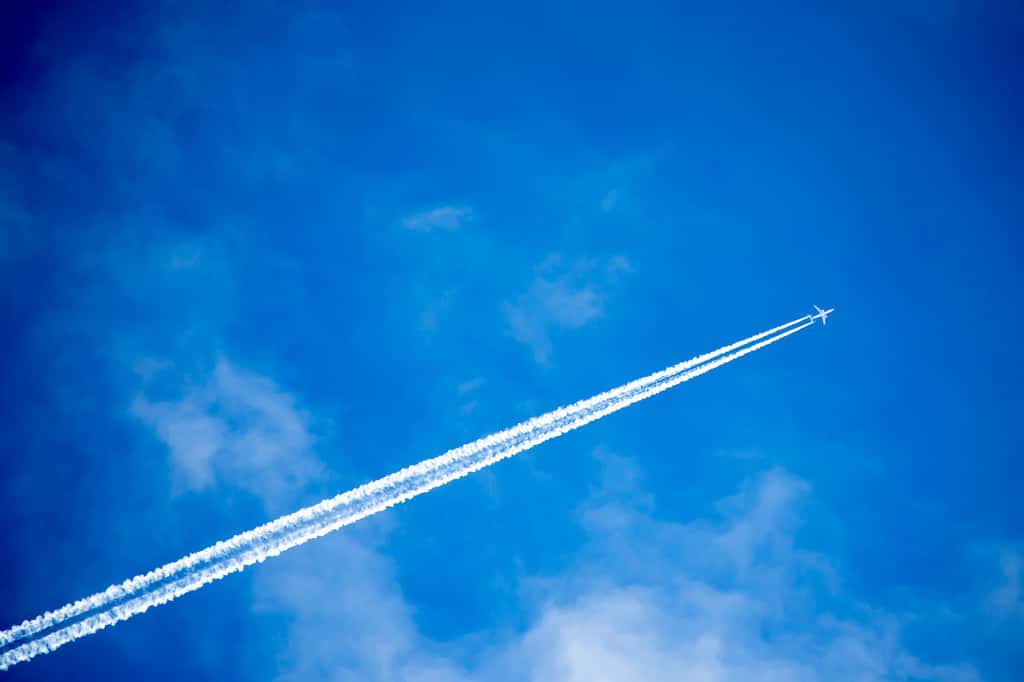 Un tiers des lignes aériennes ont disparu en 2020. © Sandor Jackal, Adobe Stock