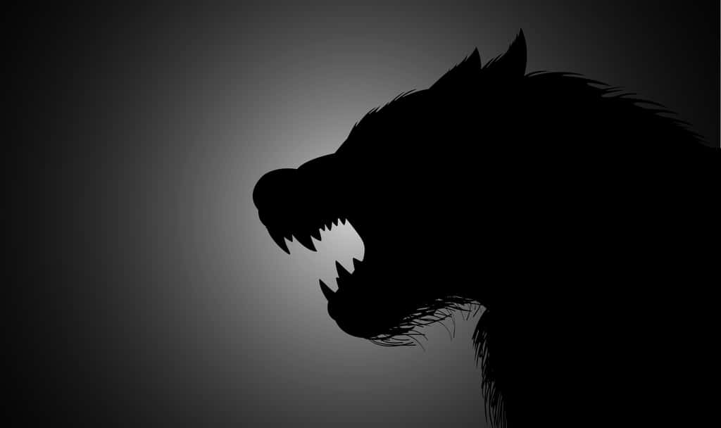 Au Moyen Âge, le phénomène des loups-garous était attribué à une possession démoniaque. © rudall30, Adobe Stock