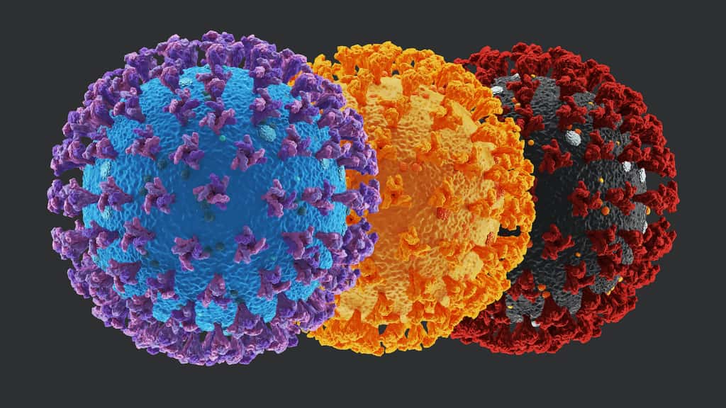 Le SARS-CoV-2 subit des mutations qui le rendent plus contagieux et lui permettent d’échapper au système immunitaire. © Josh, Adobe Stock