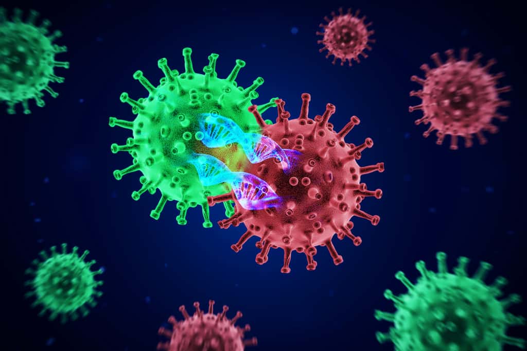 Chez un patient immunodéprimé, l’injection d’anticorps favorise les mutations du virus. © Jürgen Fälchle, Adobe Stock