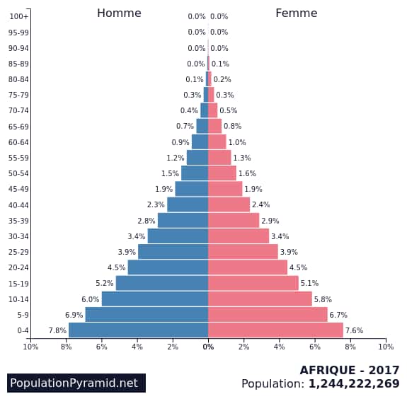 Pyramide des âges en Afrique. © PopulationPyramid.net