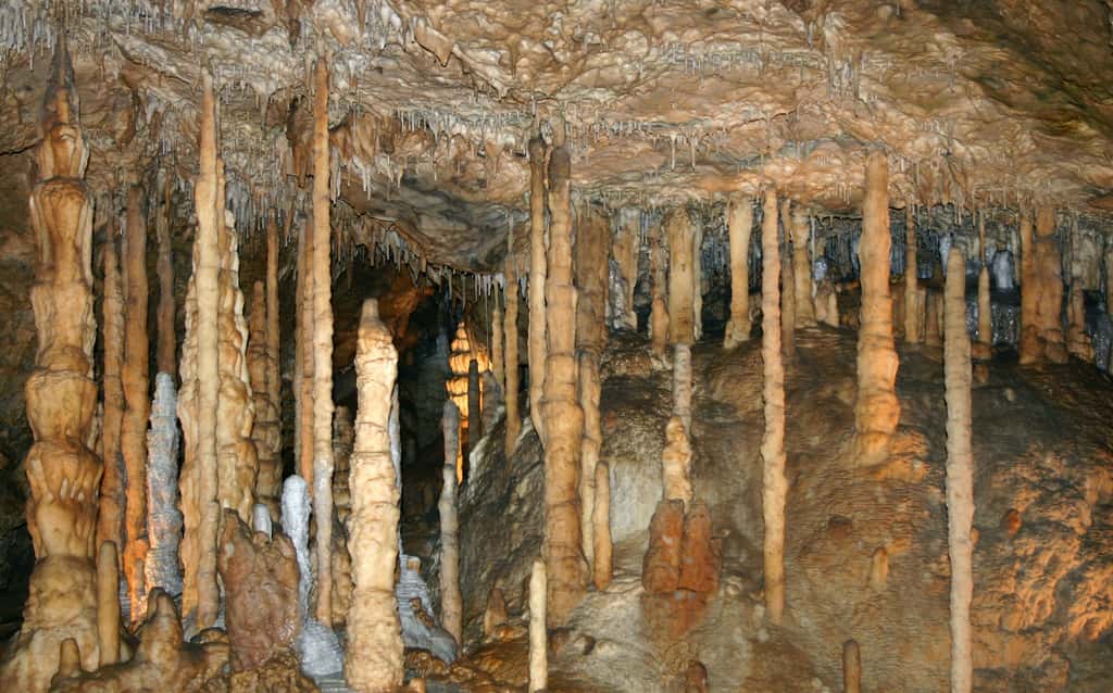 Les grottes et leurs concrétions sont le résultat de la lente action de l'eau chargée en acide carbonique, qui dissout le calcaire. © Alexander, Adobe Stock