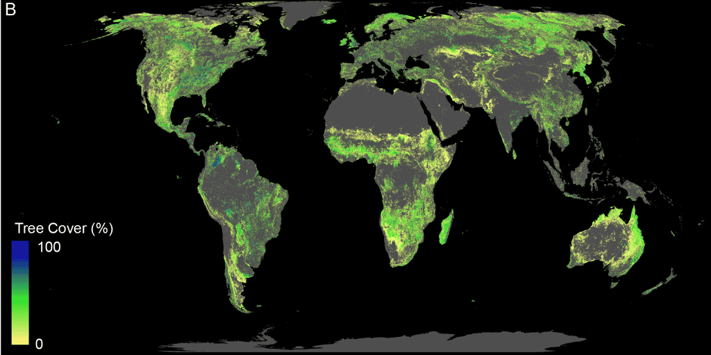 Les surfaces en vert montrent la surface terrestre disponible pour y planter des arbres, elles excluent les forêts déjà existantes, les déserts, les villes et les cultures, soit 0,9 milliard d’hectares. © ETH Zurich / Crowther Lab