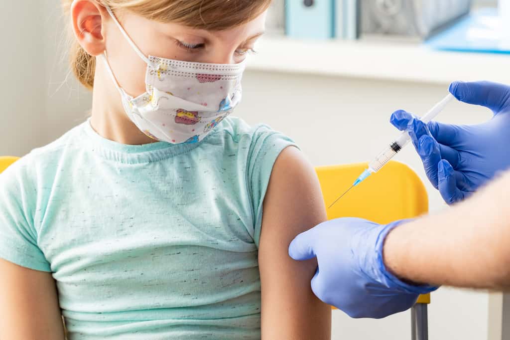 Le carnet de santé peut aussi servir de certificat de vaccination. © Ira Lichi, Shutterstock