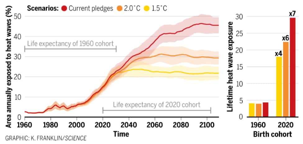 Nombre moyen annuel de vagues de chaleur que connaîtra chaque génération selon les différents scénarios de réchauffement. Les enfants nés en 2020 vivront ainsi 7sept fois plus de vagues de chaleur que les personnes nées en 1960. © K. Franklin, <em>Science</em>
