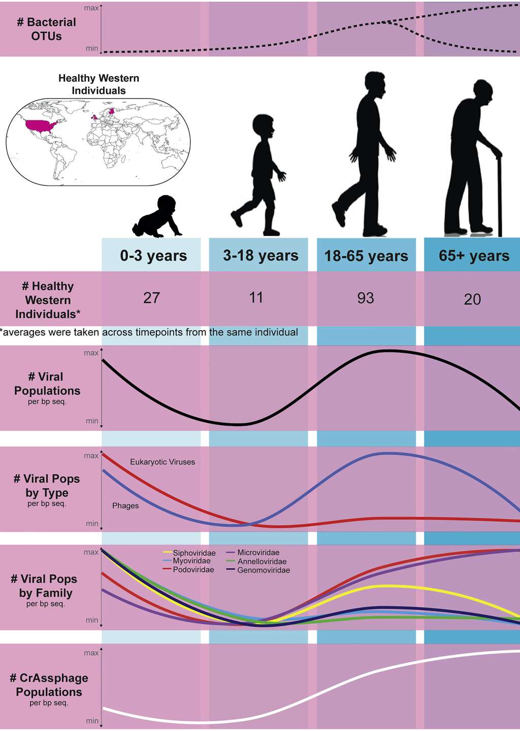 Diversité virale aux différents âges de la vie : très élevée chez les nourrissons, elle décline ensuite dans l’enfance puis remonte à l’âge adulte, avant de diminuer à nouveau après 65 ans. © Ann Gregory et al, <em>Cell Host & Microbe</em>, 2020