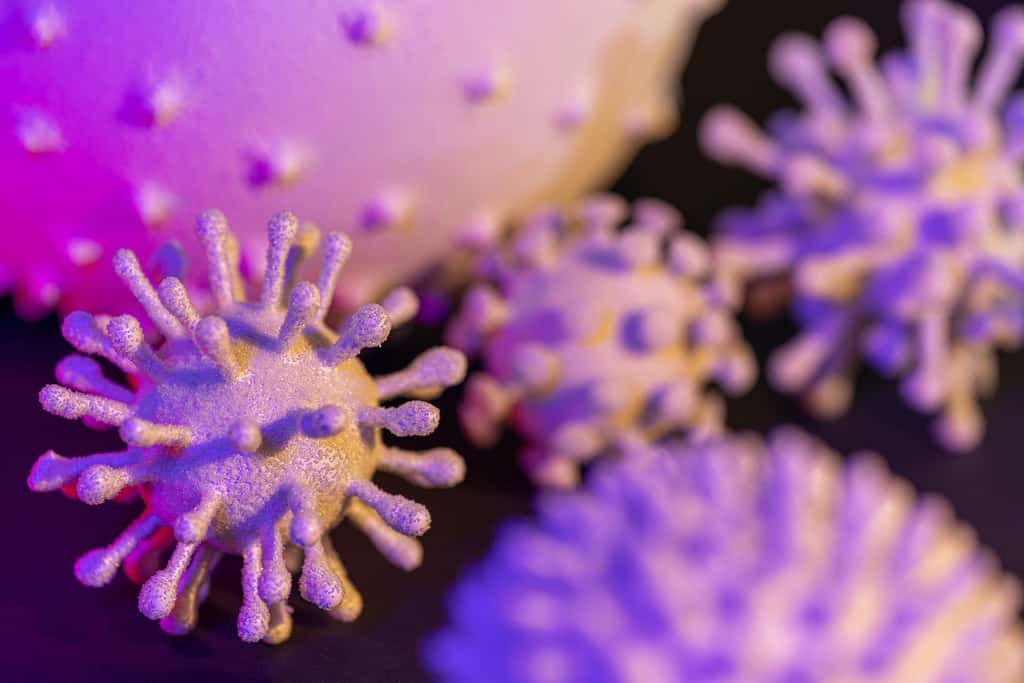 Une immunité partielle risque de favoriser l’apparition d’un virus résistant. © PRILL Mediendesign, Adobe Stock