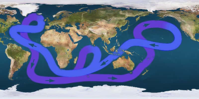 La circulation thermohaline mondiale est un couplage de plusieurs cellules de convection océanique et participe à la redistribution de la chaleur. Lorsque l'océan est plus chaud, la circulation océanique est complètement modifiée. À quoi ressemblera donc la circulation thermohaline à la fin du XXI<sup>e</sup> siècle ? © cc by sa 3.0, Wikipédia