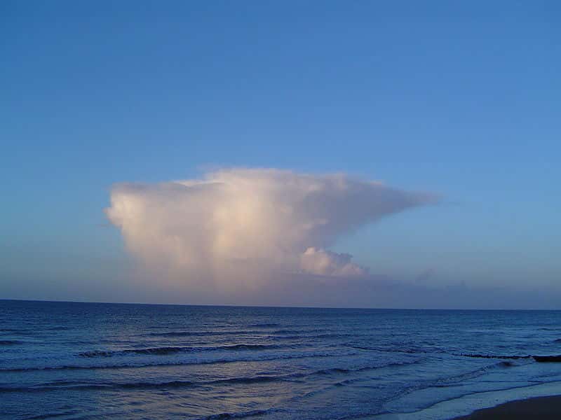 Un cumulonimbus bien formé, avec son enclume. Ce nuage d'orage est le siège de puissances ascendances et de violentes turbulences. Des grêlons y virevoltent parfois et ce géant peut brutalement lâcher un déluge. © Cevenol2, Wikimedia Commons, cc by sa 1.0