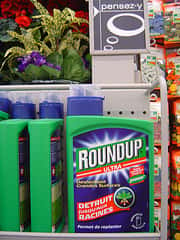 L'étiquette de l'herbicide foudroyant ne serait pas conforme à sa composition. © David Reverchon CC by-nc-nd