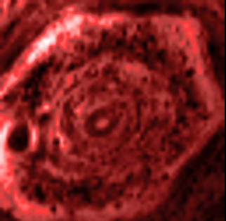Animation créée à partir de 19 images capturées dans l’infrarouge par la sonde spatiale Cassini, le 14 juin 2013. La rotation est accélérée et la séquence dure en réalité 2 h 45 mn. On distingue de nombreuses cellules nuageuses plus sombres que les autres, car plus chargées de grosses particules. © Nasa, JPL-Caltech, université d’Arizona