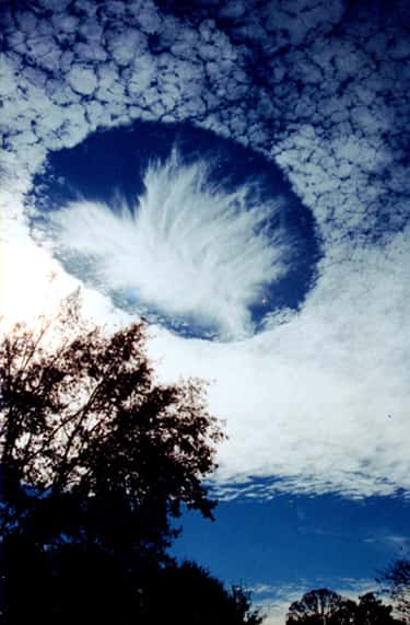 Une superbe photo de Joel Knain d'un <em>hole punch cloud</em>, prise près de la ville de Mobile, en Alabama, avait eu les honneurs du site <a target="_blank" href="http://antwrp.gsfc.nasa.gov/apod/ap040112.html" title="Astronomy Picture of the Day">Apod</a> qui en a fait son image du jour le 12 janvier 2004. © Joel Knein