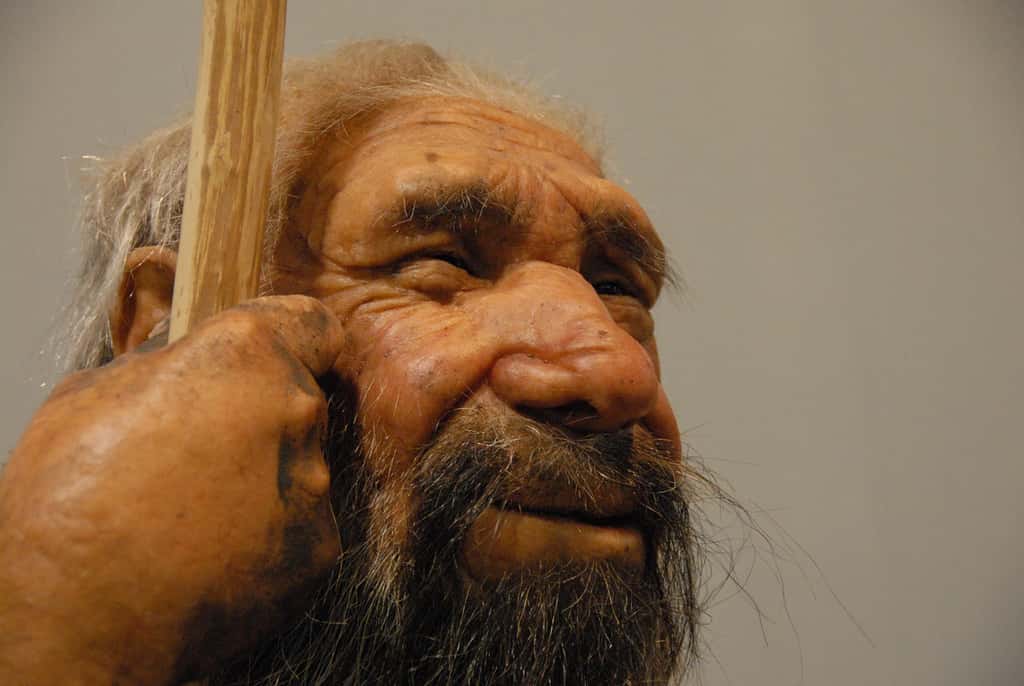 Bien qu’on les ait longtemps pris pour des rustres patauds et idiots, les Hommes de Néandertal étaient proches de nous et se révélaient créatifs et doués pour tailler les outils. © Gianfranco Goria, Flickr, cc by nc nd 2.0