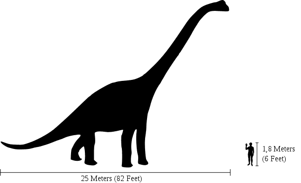 Saurez-vous vous mesurer aux dinosaures ? Jouez à notre quizz pour le savoir. © Domaine public