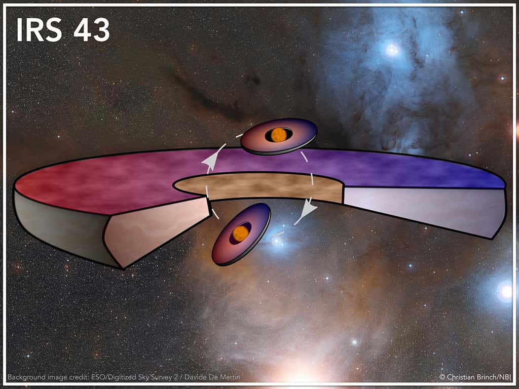 Ce schéma montre deux petits disques protoplanétaires autour de deux jeunes étoiles, donc circumstellaires, et un grand disque circumbinaire. Les deux étoiles formant le système binaire se déplacent dans un plan orbital indiqué par les flèches et la courbe en tirets. La matière dans les disques est en rotation de sorte que la lumière est décalée vers le rouge si elle s'éloigne d'un observateur et vers le bleu dans le cas contraire. Ceci explique le choix des couleurs pour les disques. © Christian Brinch, NBI, KU 