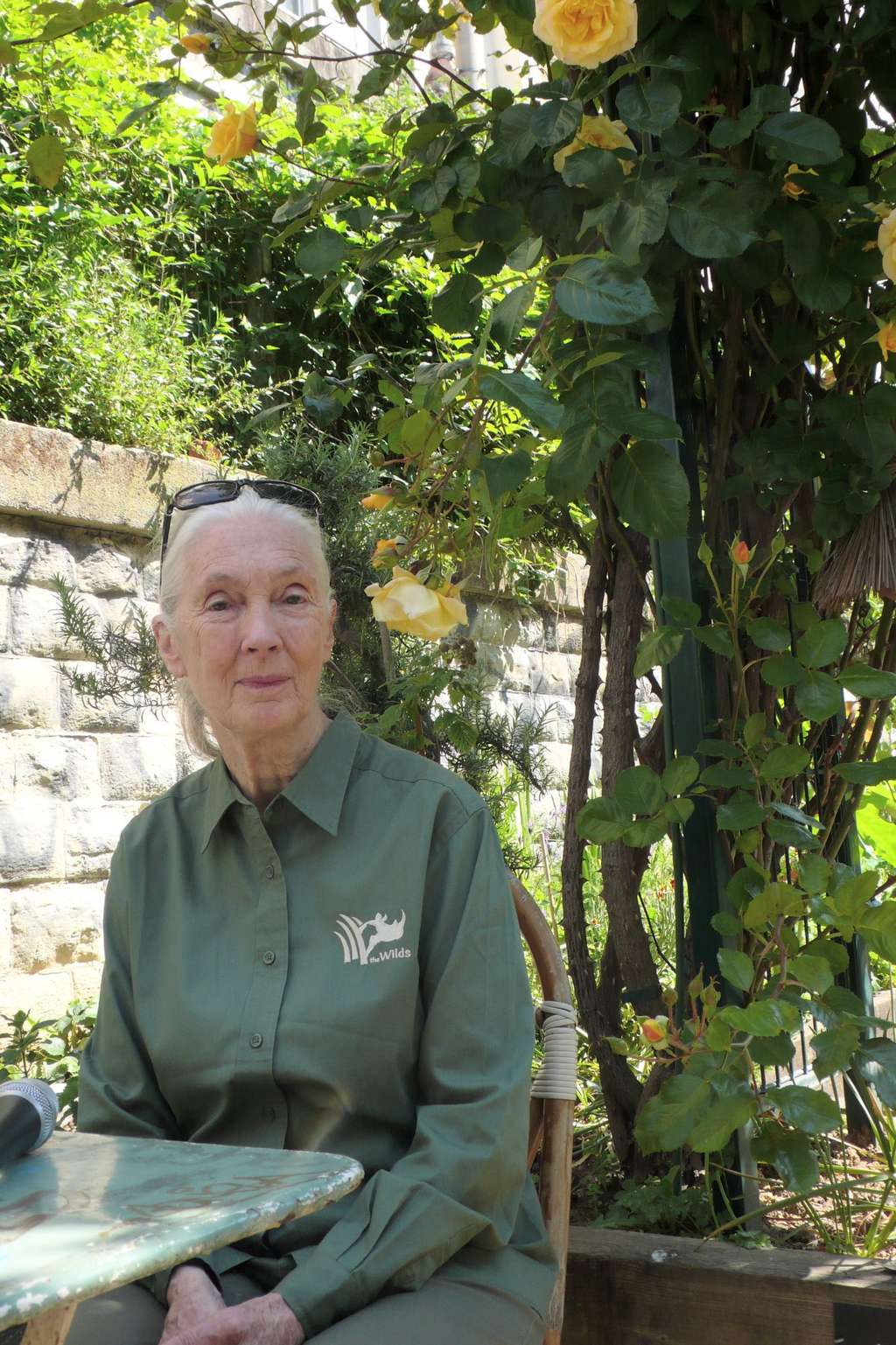 Jane Goodall, le 18 mai 2014, fait une pause à Paris, dans le jardin du Ruisseau, où l'on fleurit une partie de l'ancienne ligne de train dite de la Petite Ceinture. La Britannique vient y rencontrer des membres français de son institut. © Jean-Luc Goudet, Futura-Sciences