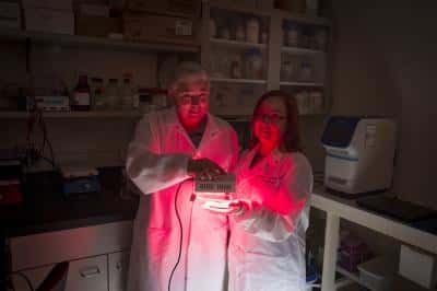 Jeri-Anne Lyons (à droite) irradie ses cellules touchées par la sclérose en plaques à l'aide d'une lumière proche infrarouge d'une longueur de 670 nm. Et leur santé semble s'améliorer. © Troye Fox, <em>UMW Photo Service</em>