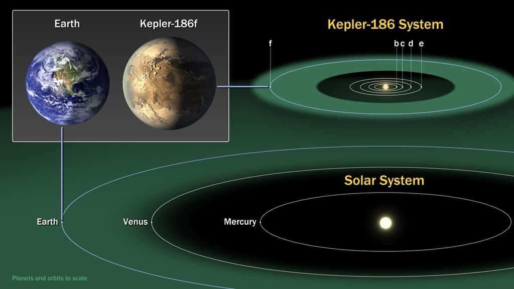 Le système planétaire de Kepler-186, une naine rouge. Dans notre galaxie, 70 % des étoiles sont de ce type. © Nasa Ames, Seti