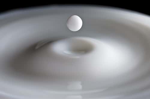 Le lait : faudrait-il ne pas en abuser ? © Pedro Moura Pinheiro / Flickr - Licence Creative Common (by-nc-sa 2.0)