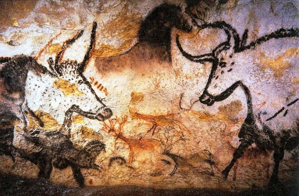 Les peintures rupestres de Lascaux montrent clairement des aurochs, les ancêtres des vaches actuelles. On peut aussi y trouver des bisons. © cc by sa 3.0, Prof saxx 