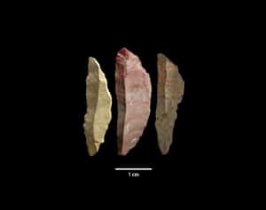 Trois lames découvertes près de Pinnacle Point en Afrique du Sud et datées de plus 70.000 ans. Pour parvenir à fabriquer de tels objets, il faut savoir discuter, expliquer, questionner, transmettre... © Simen Oestmo