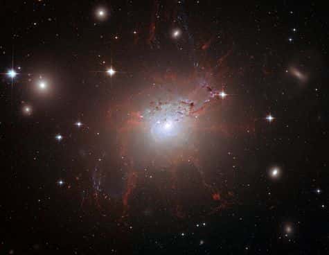 La galaxie NGC 1275 entourée de ses immenses bras tentaculaires. Crédit Nasa/Hubble